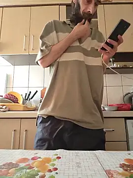 vulpe8400 webcam