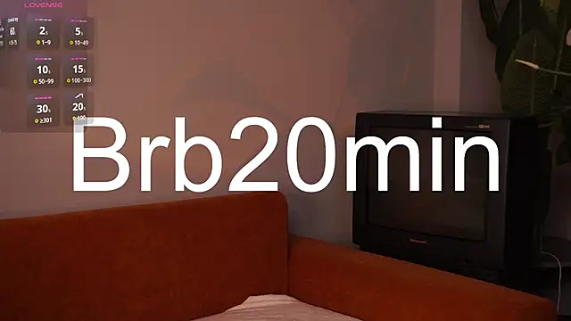 AriaCatrool webcam