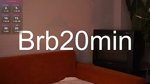 AriaCatrool webcam