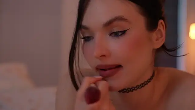 ibiddi webcam