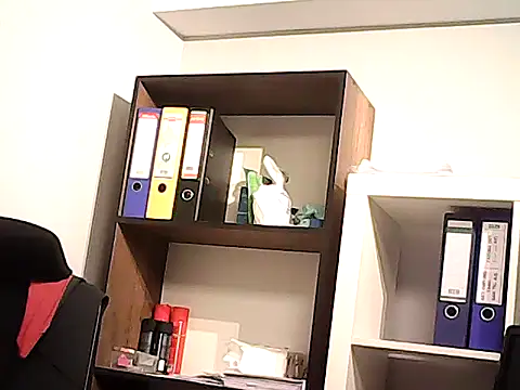 mastercharisma35 webcam