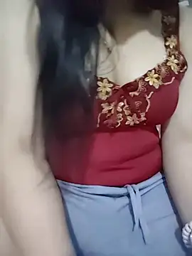 Sinhlinh2020 webcam