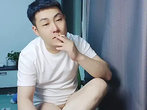 Llpl322 webcam