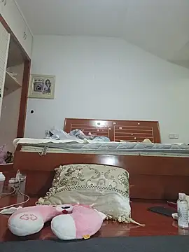 swzl0 webcam