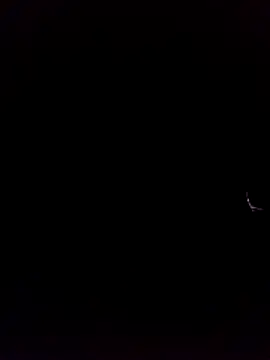 will1980 live cam