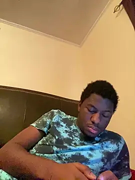 ThickDic28 webcam