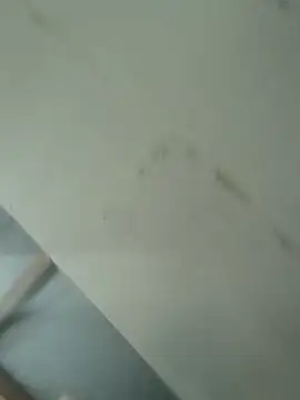 sacptjock83 webcam