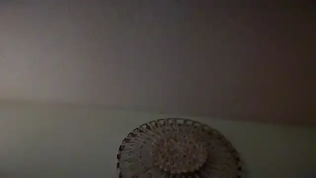 KungFuPanda001 webcam