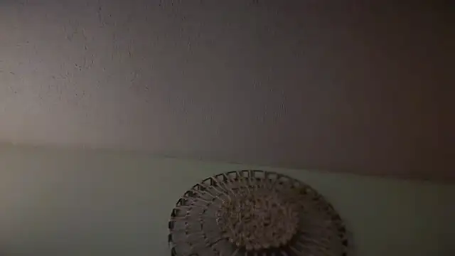 KungFuPanda001 webcam