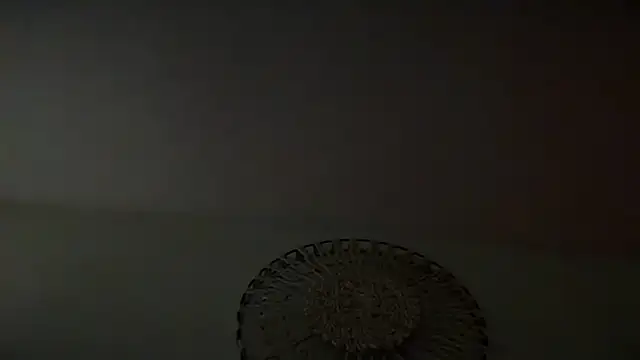 KungFuPanda001 webcam