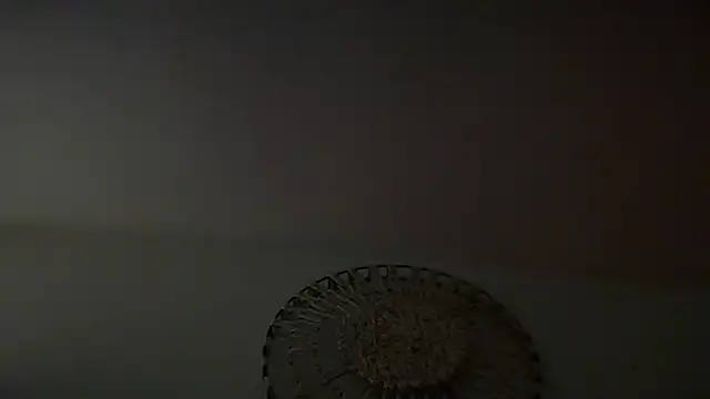 KungFuPanda001 webcam