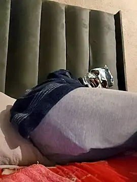 RETURNOFTPNUTS webcam