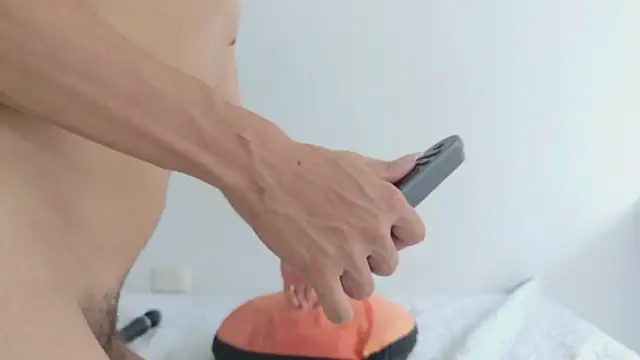 grey___27 webcam