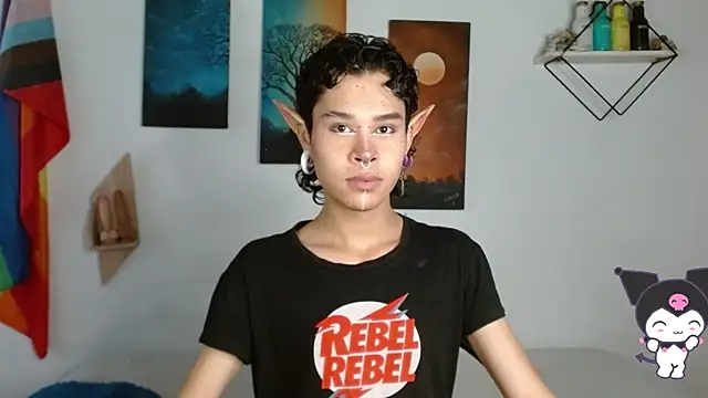 nicolai_a webcam