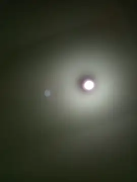 Mariofls webcam