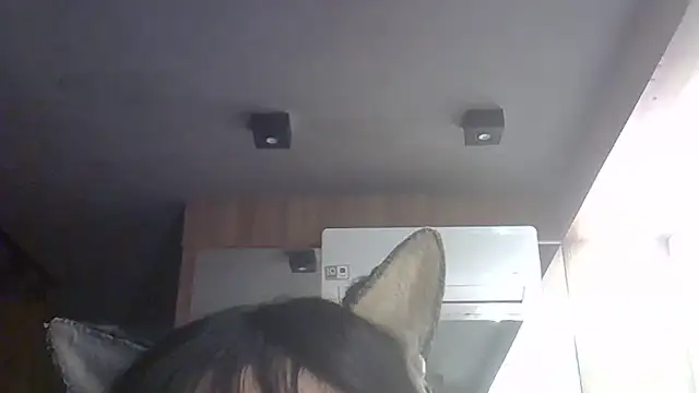 SkinnyKitten webcam