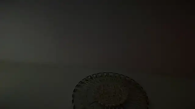 KungFuPanda001 webcam