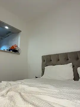 IrisBlues webcam