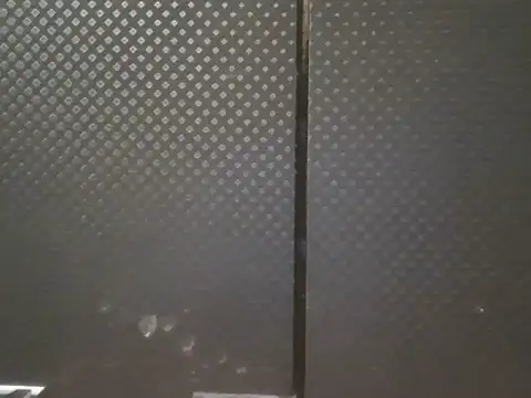 projectdivad webcam