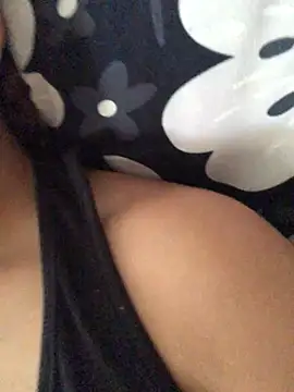 3littles webcam
