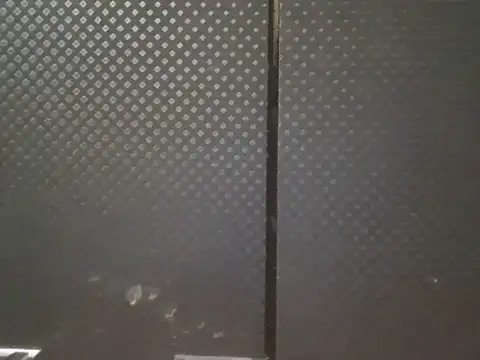 projectdivad webcam