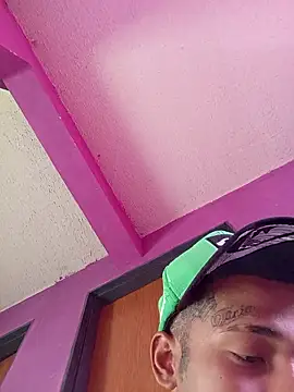 Negok1ng17cm webcam