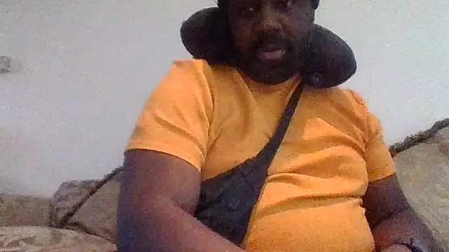 KOdaLion webcam