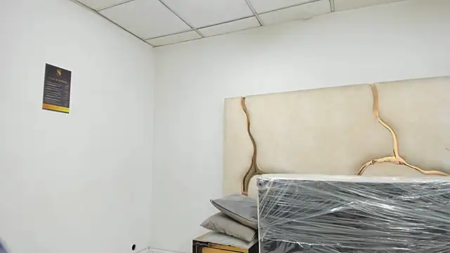ZayraStorm webcam