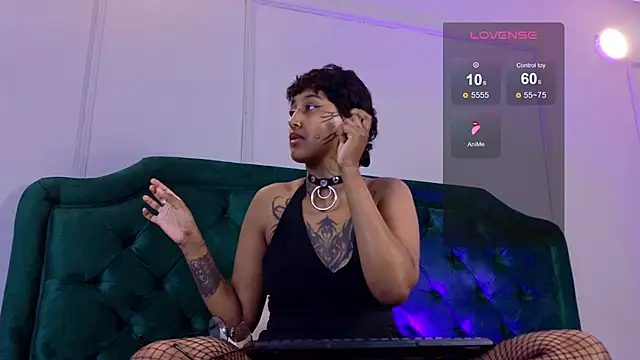 lanemugler webcam