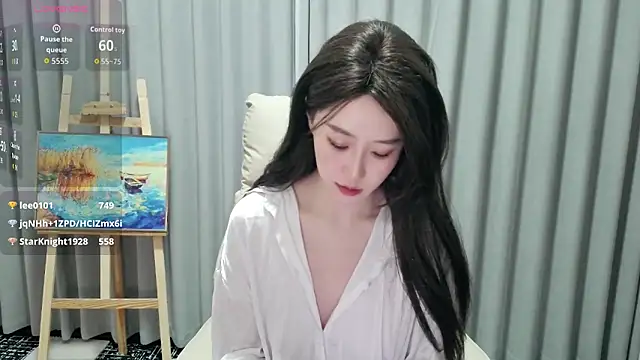 LUNYI-CC webcam