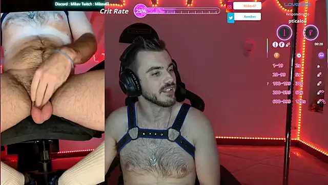 Mikev webcam