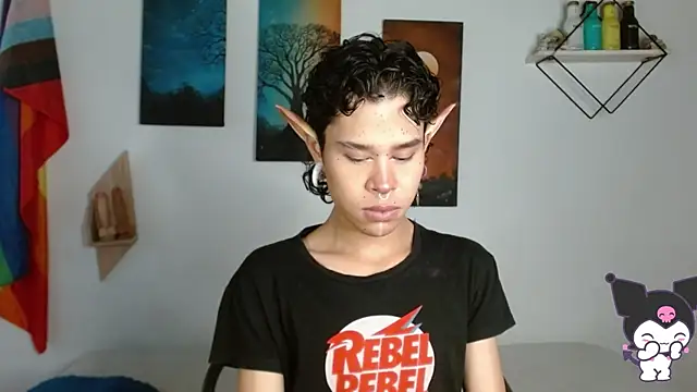nicolai_a webcam