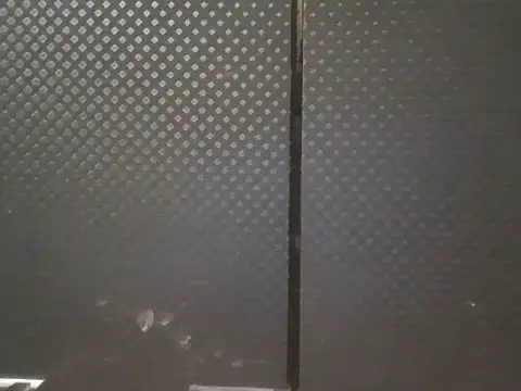 projectdivad webcam