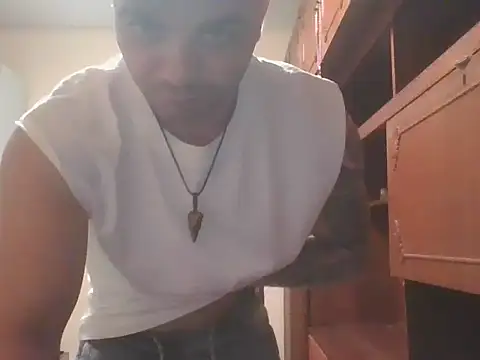projectdivad webcam