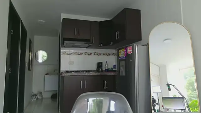 grey___27 webcam