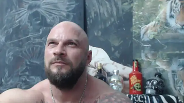 viking_30 webcam
