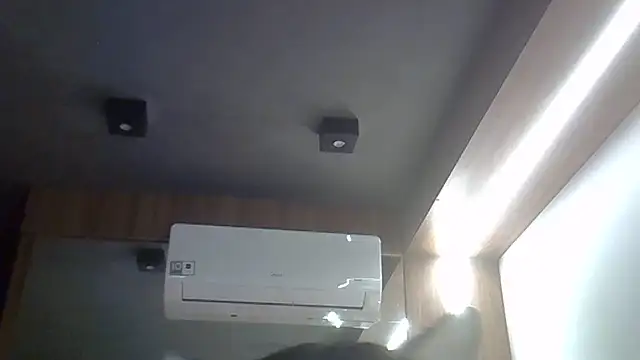 SkinnyKitten webcam