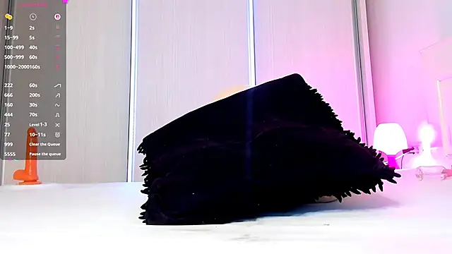 Aidasina webcam