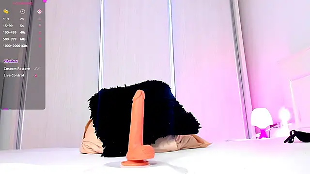 Aidasina webcam