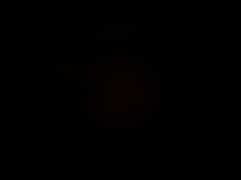 bigdick20101 webcam