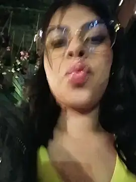 SOFIA-11_ webcam