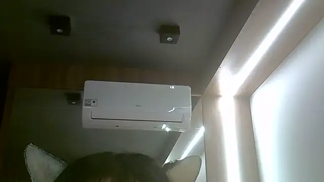 SkinnyKitten webcam