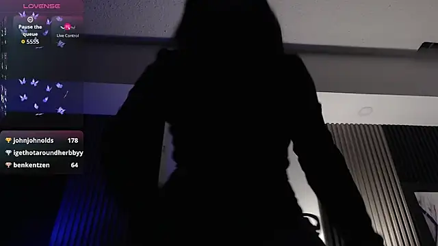 kittyhouse_hs webcam