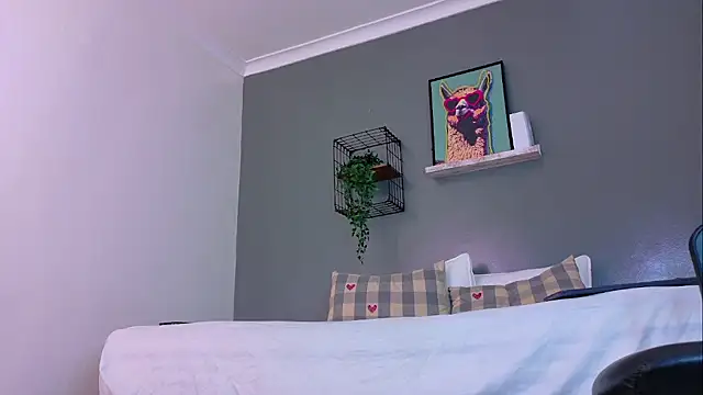 MrFox__ webcam