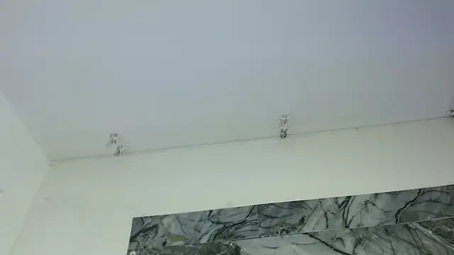 ladymooncs webcam