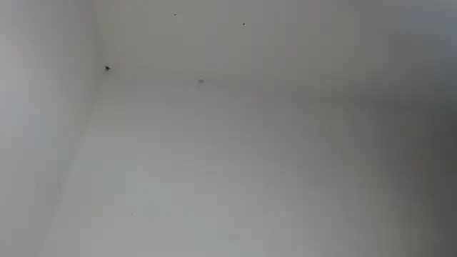 drako_monster webcam