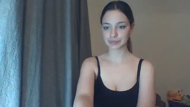 EvelineMagnetic webcam
