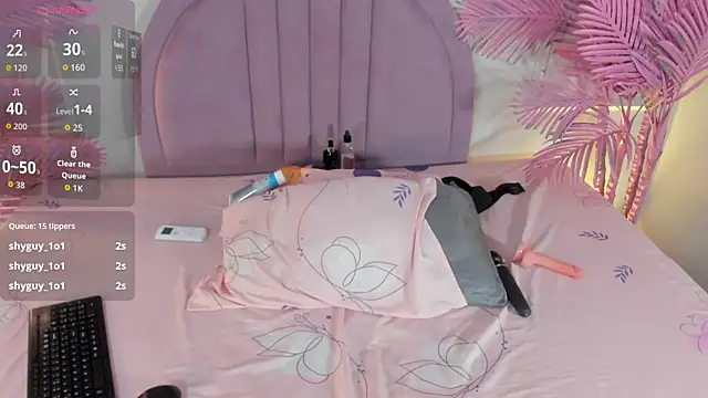 Nalapalmer webcam