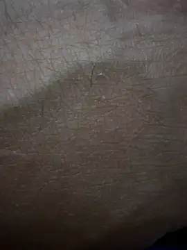 bigdick20101 webcam