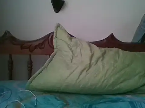 bbccol1 webcam